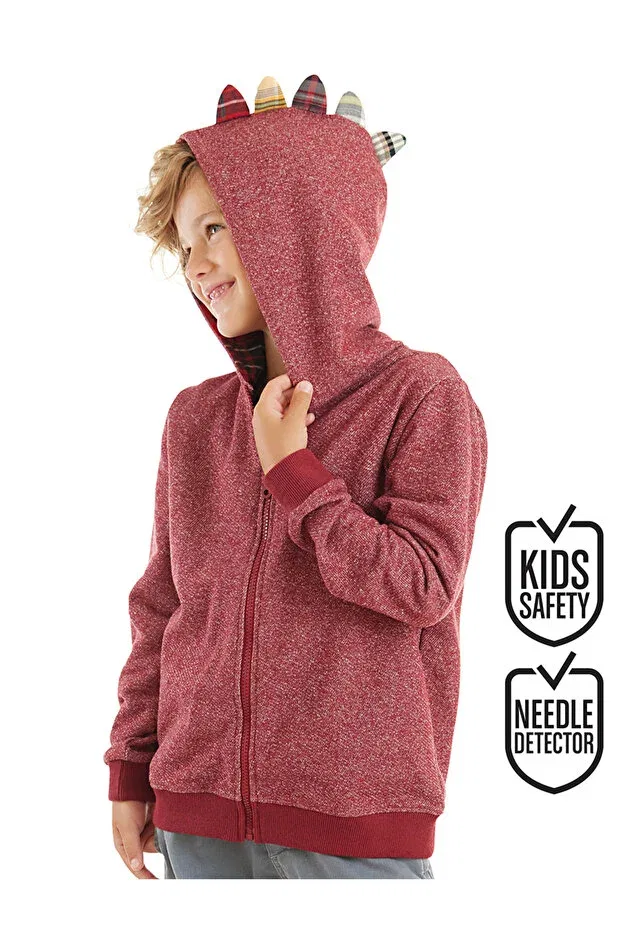 Детское худи для мальчиков с капюшоном Dragon boy Denokids, Burgundy