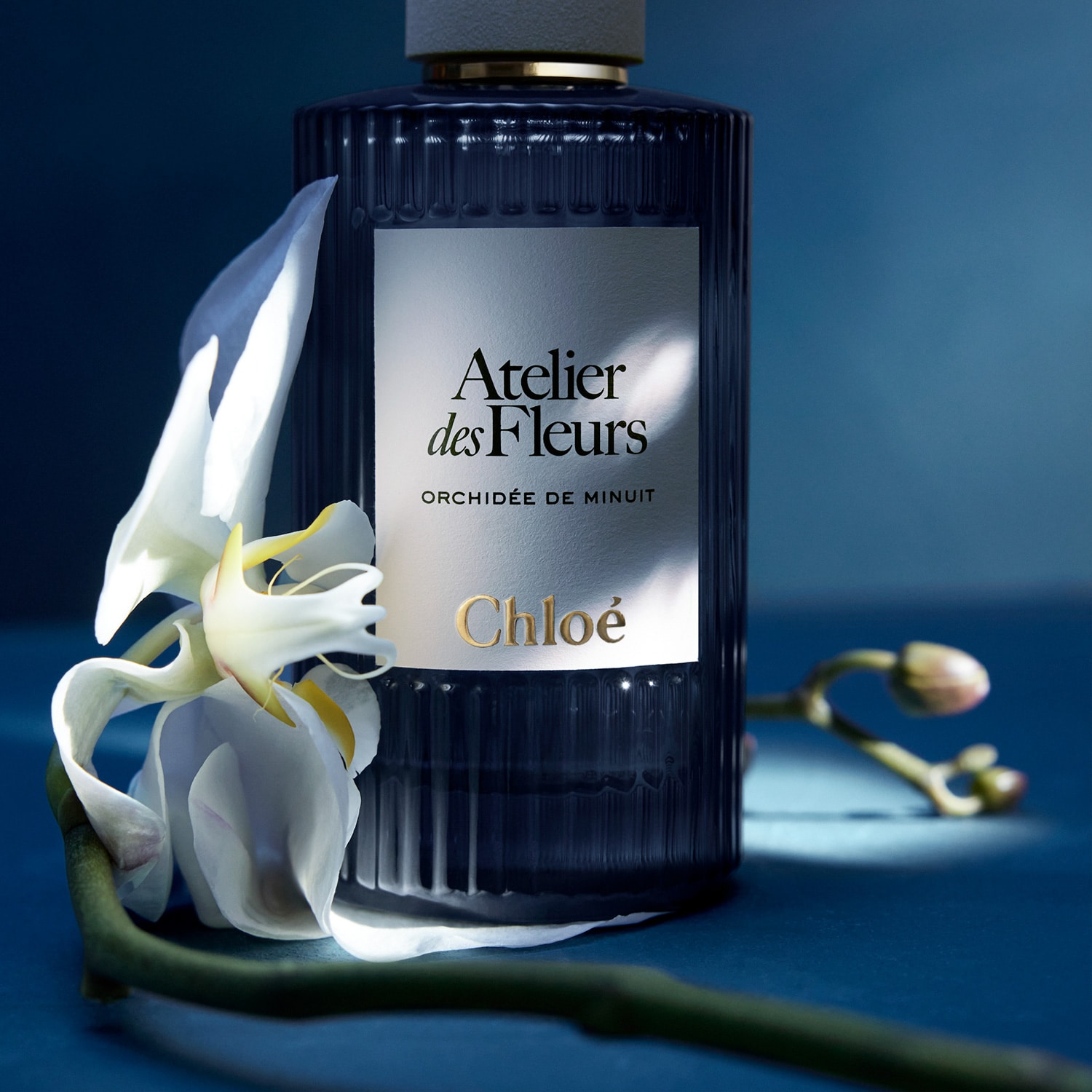 Парфюмерная вода Chloé Atelier des Fleurs Orchidée de Minuit — фото 3