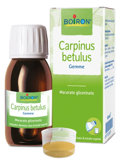 

Carpinus Bet Boi Macerate Глицеринат 60 мл Int Boiron