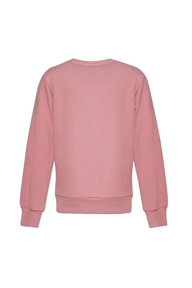 Детские свитшот для мальчиков с длинным рукавом hmlpulse Hummel, Rose Dry — фото 3