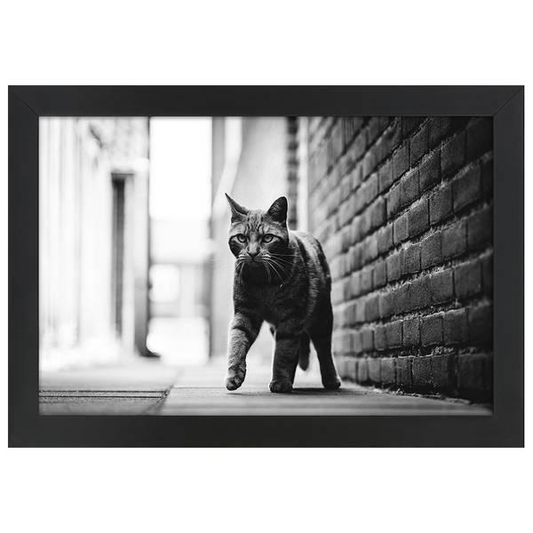

Рамка для фотографий LegendArte Poster Katzenschritt, черный