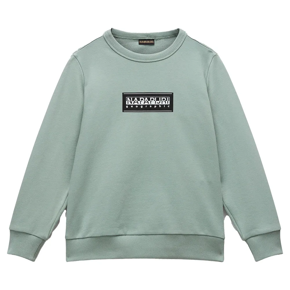 

Толстовка Napapijri Chamois Summer, зеленый