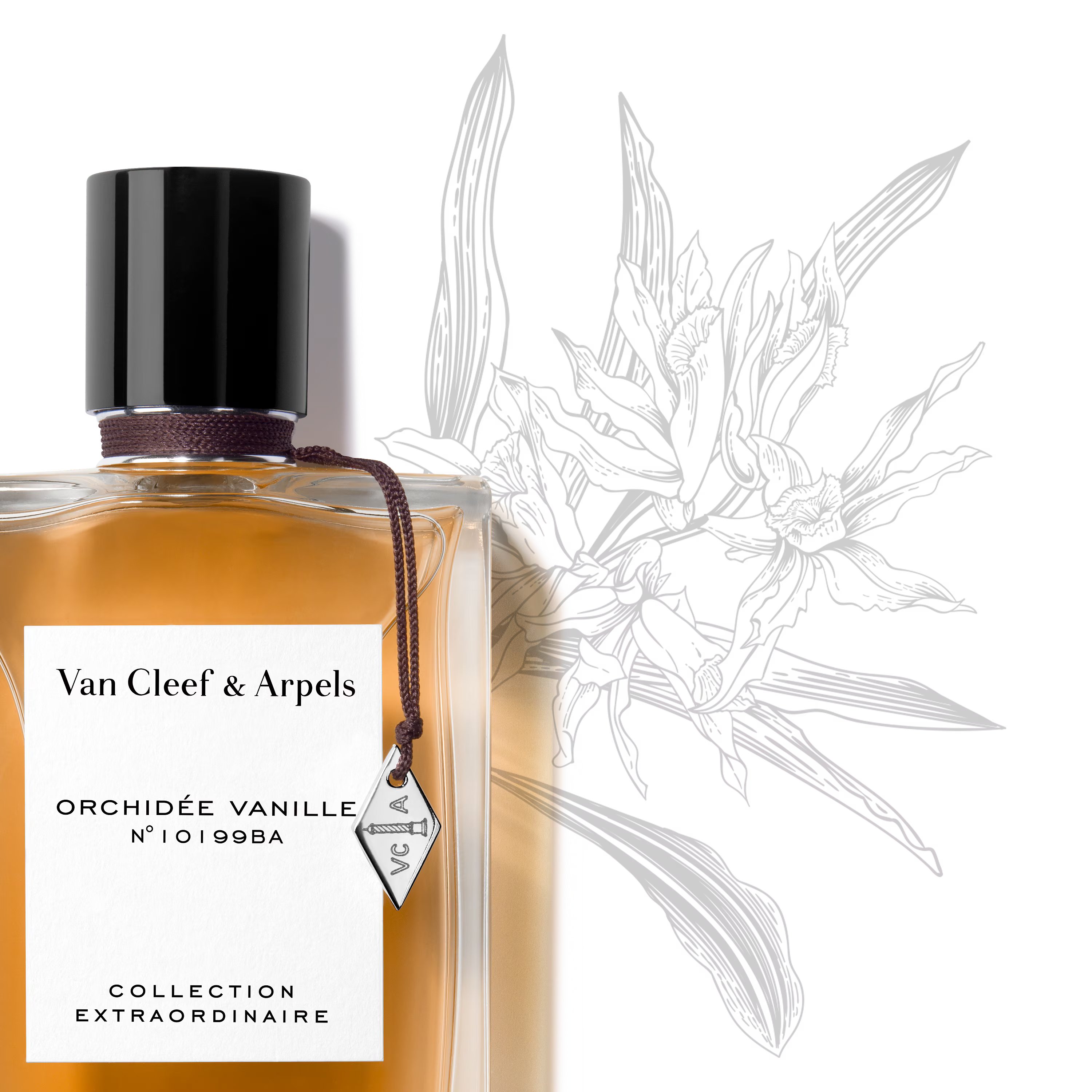Van Cleef & Arpels Collection Extraordinaire Orchidee Vanille — фото 2
