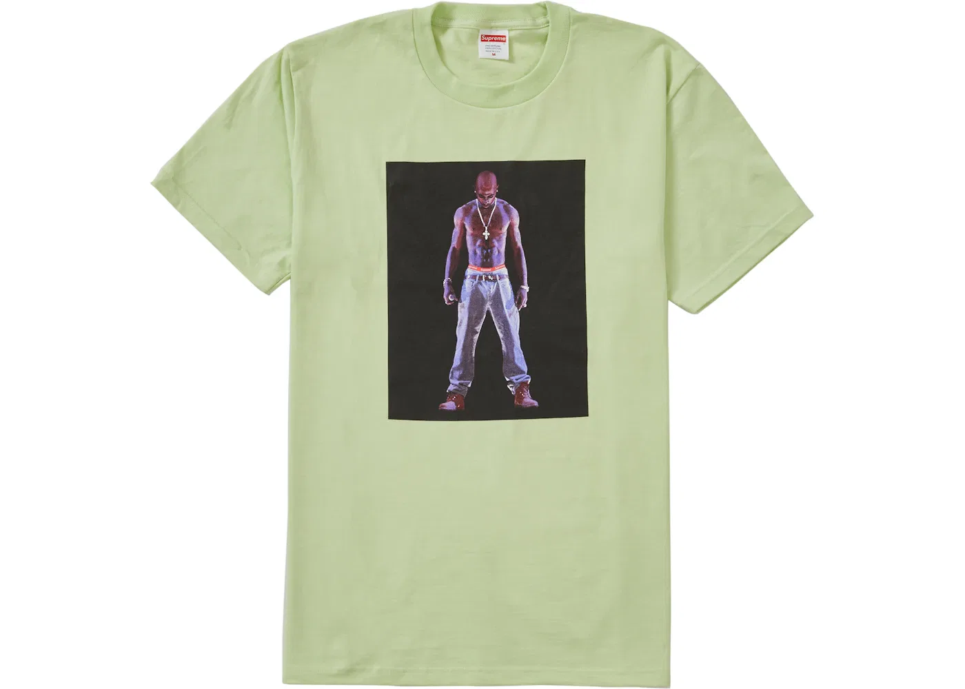 Мужская футболка с принтом Tee Supreme, Pale Mint