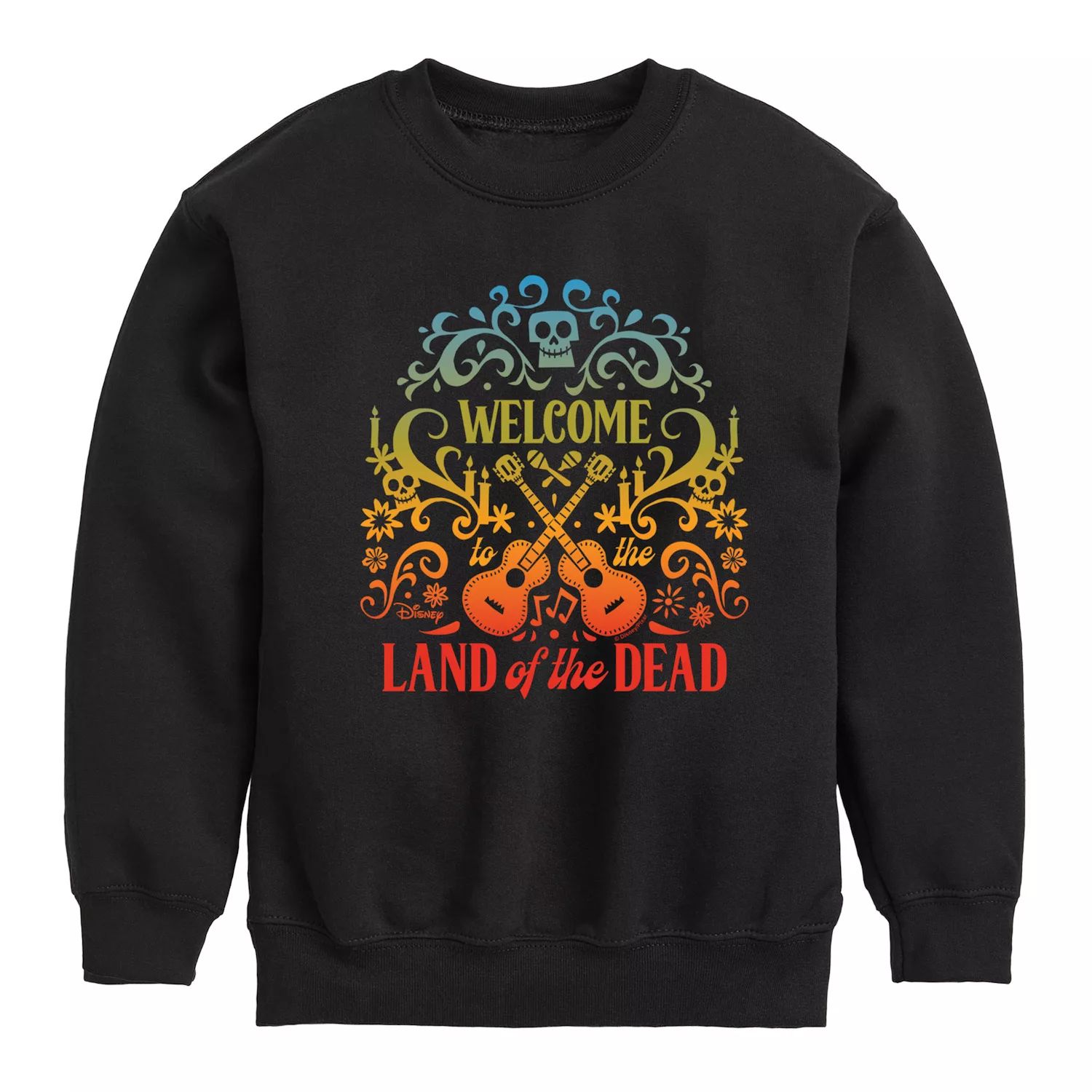 

Флисовый свитшот Disney/Pixar's Coco Boys 8-20 Welcome To Land Of The Dead Licensed Character, черный