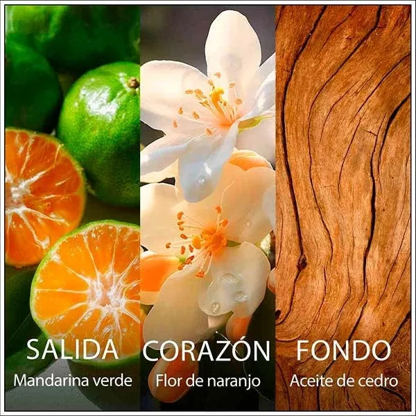 Туалетная вода для женщин CHANSON D'EAU Neroli 100 мл — фото 4