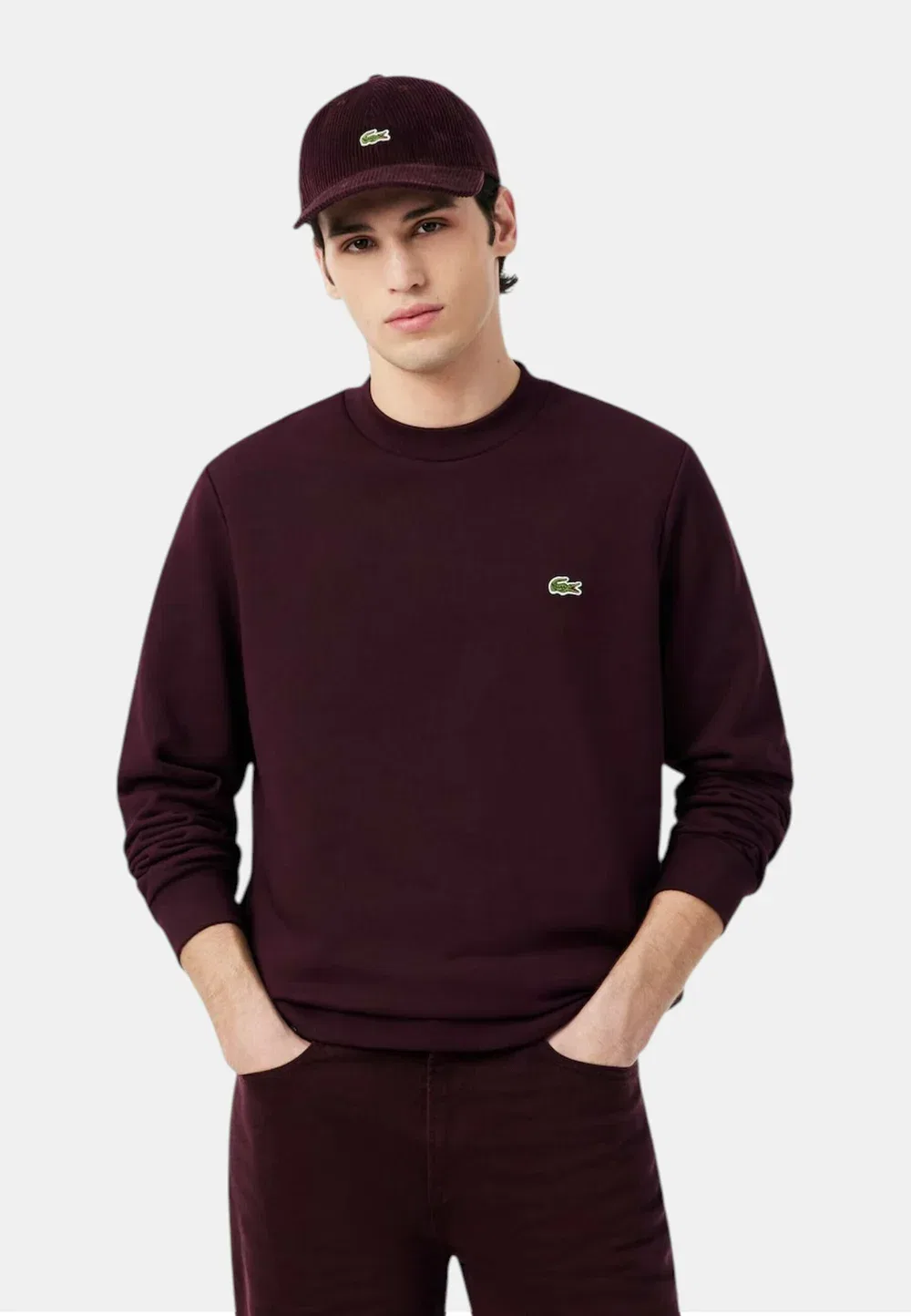 Толстовка Felpa col 3ke - толстовка Lacoste, Brown