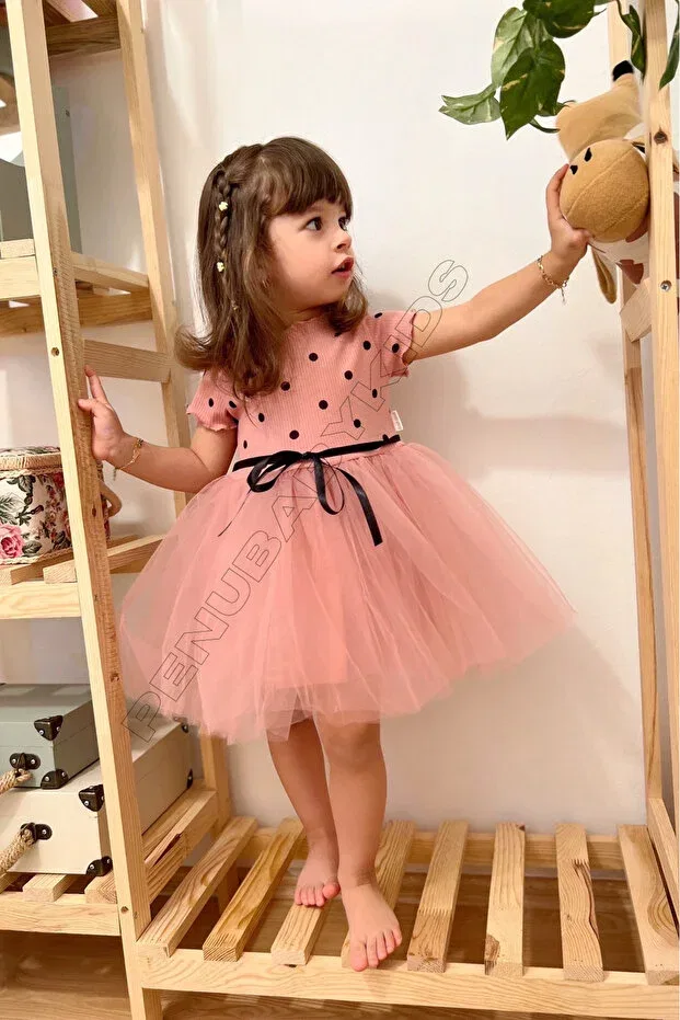 Детское платье для девочек с принтом Emily Penu Baby Kids, Dried Rose