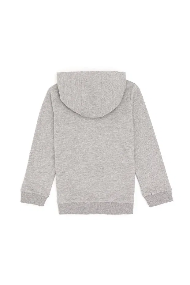 Детское худи для девочек с капюшоном U.S. Polo Assn., Light Gray Melange — фото 4