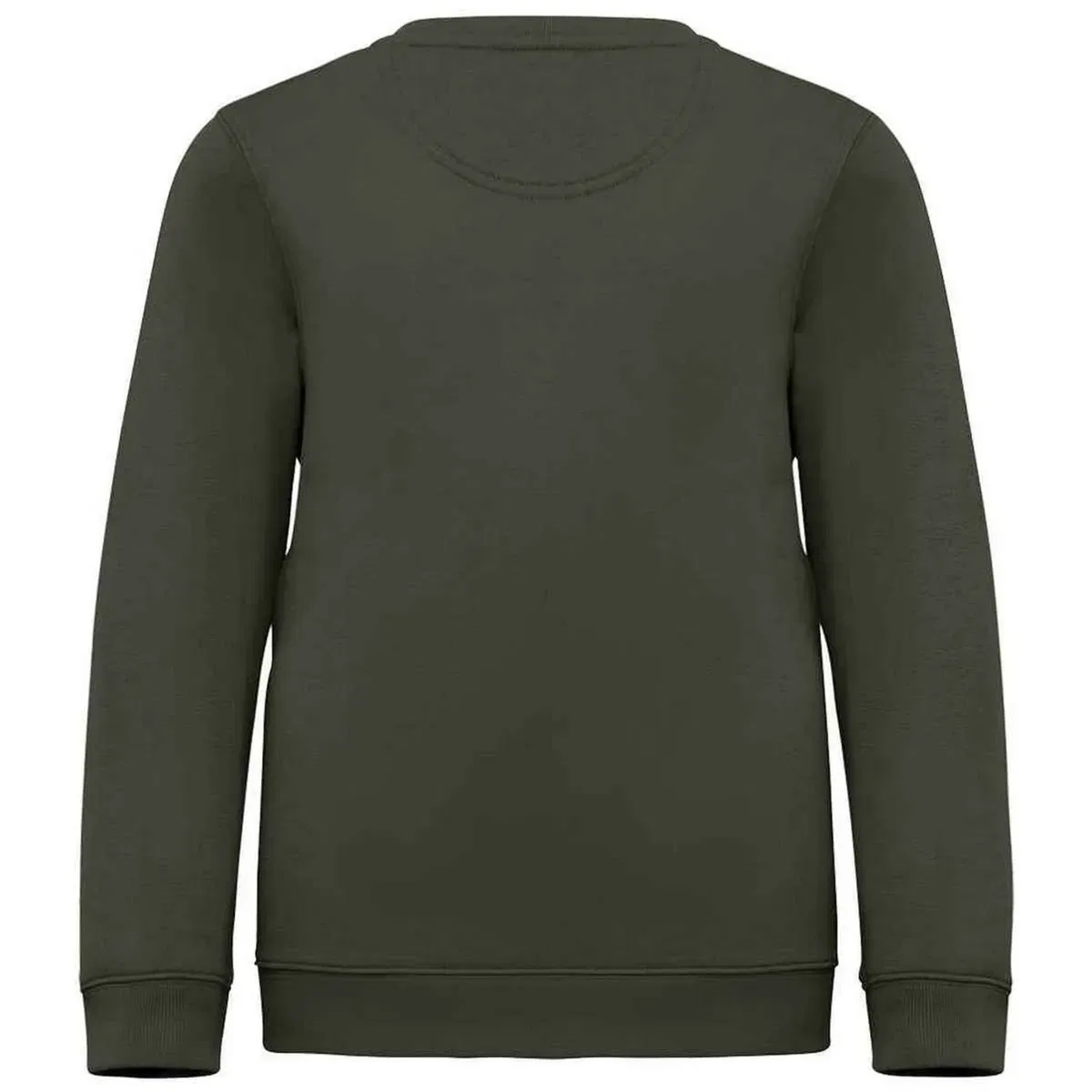Свитшот Native Spirit, Khaki — фото 2