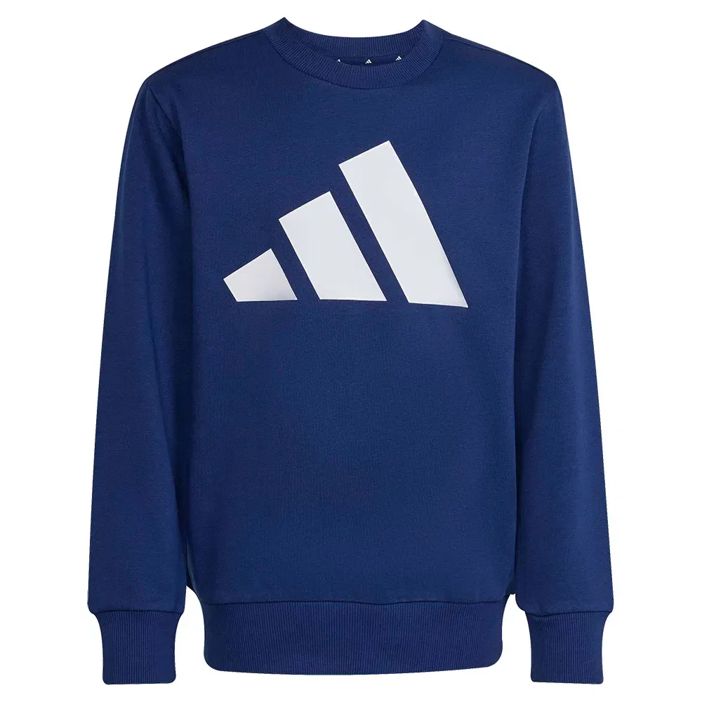 Комплект спортивных штанов Adidas Essentials Joggers, синий — фото 4
