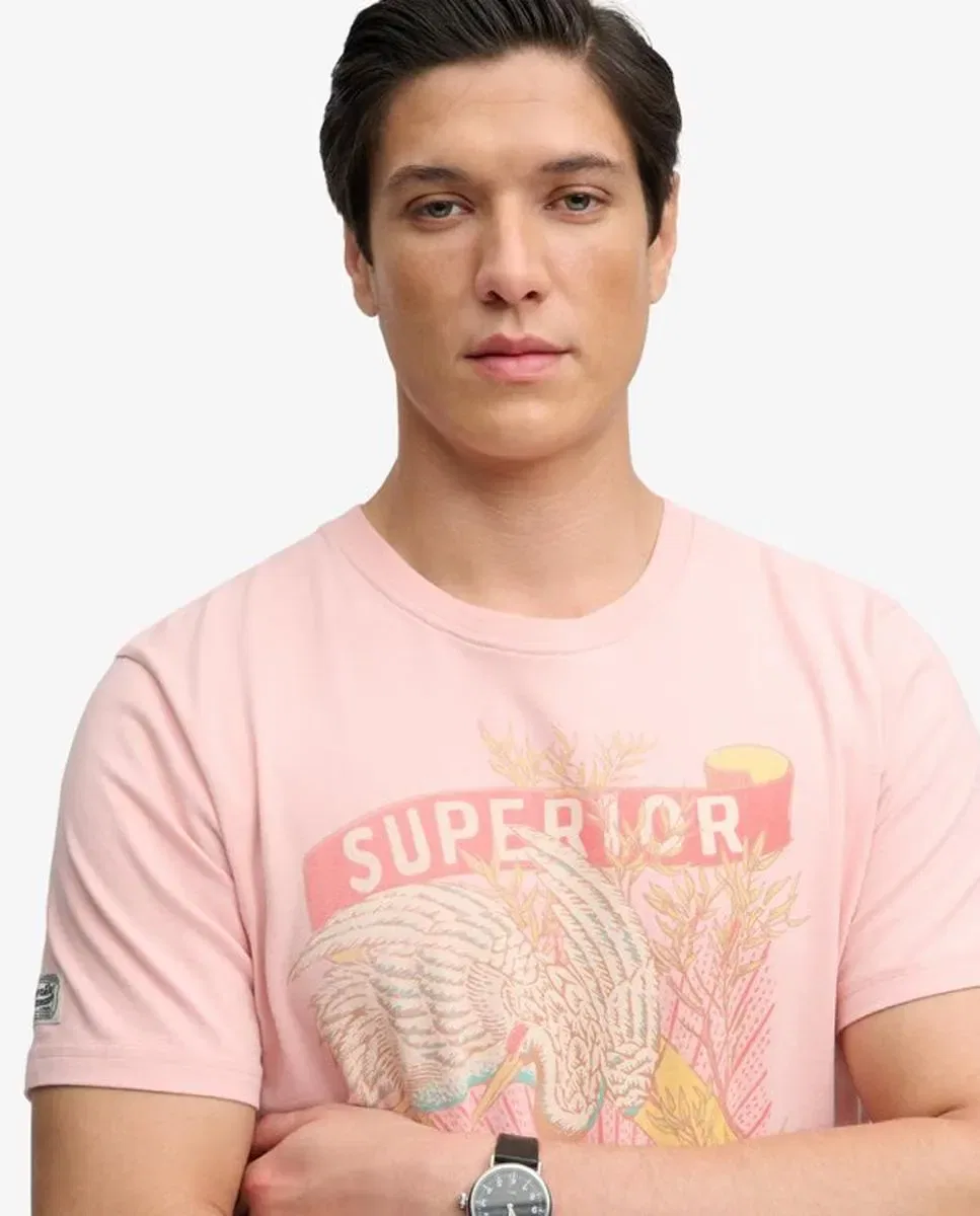 Мужская футболка с принтом Tokyo Relaxed Fit Superdry, Rosa — фото 3
