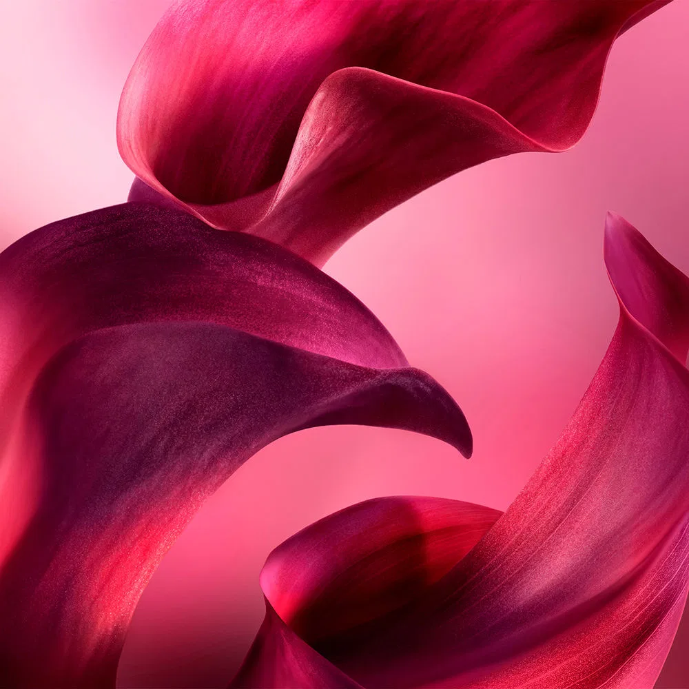 Парфюмированная вода Lancôme La Vie Est Belle L'Elixir Very Cherry, 100 мл — фото 4