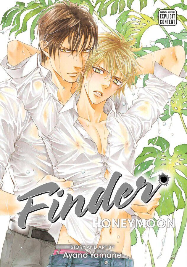 

Манга Finder Deluxe Edition Manga Volume 10