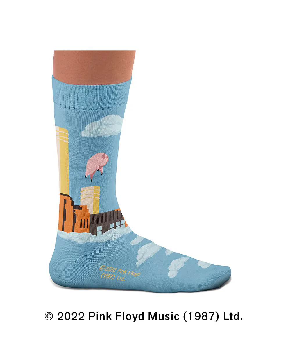 

Мужские носки с животными, синие хлопковые носки SOCK AFFAIRS, коричневый