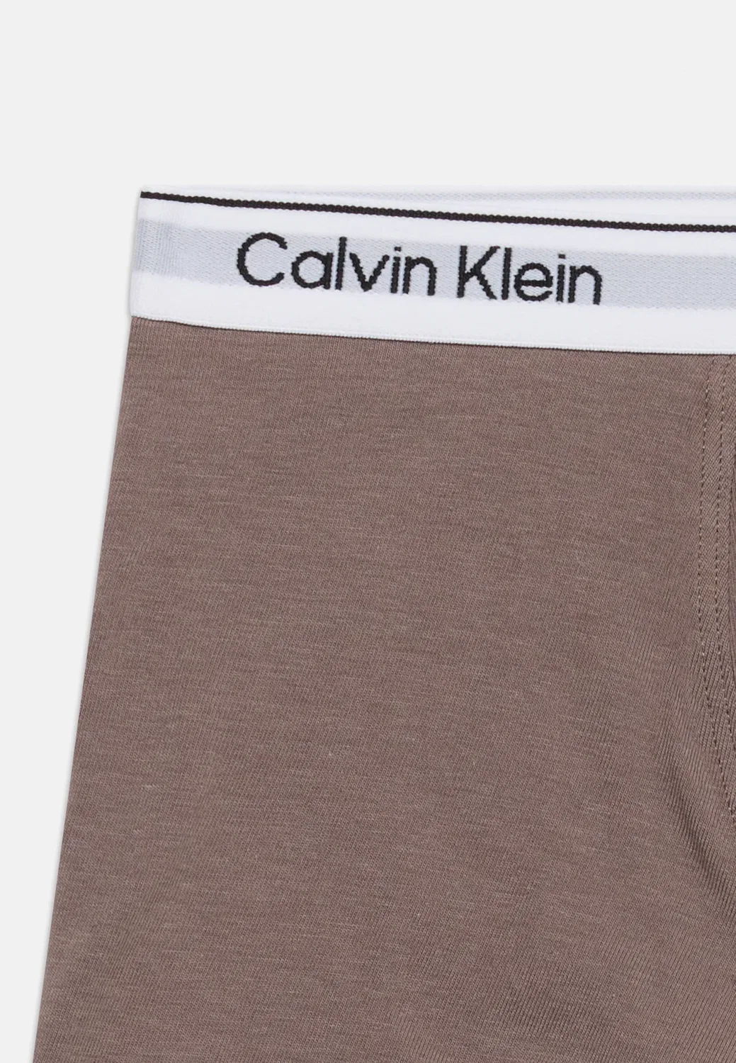 2 шт. - плавки Calvin Klein Underwear, Iron/Grey — фото 3