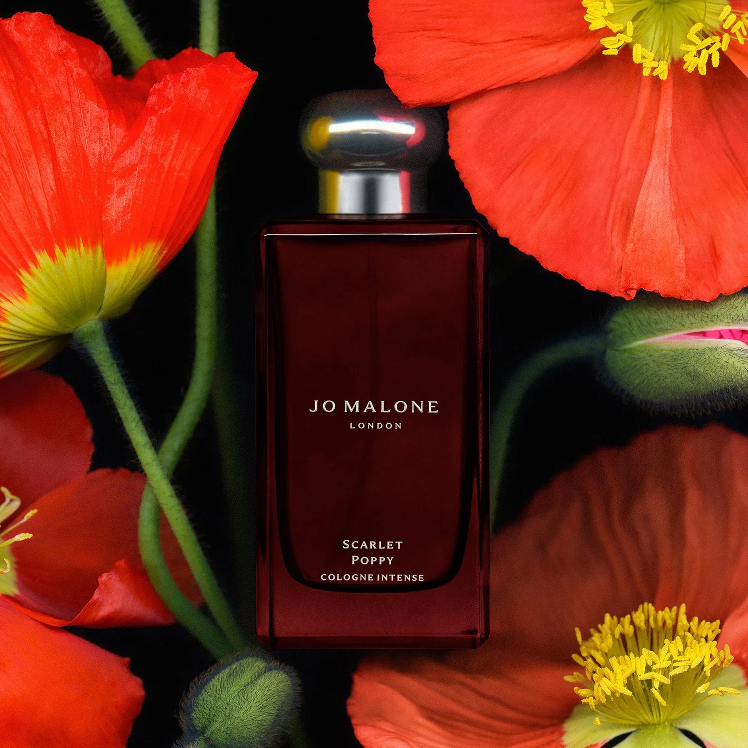 Парфюмерная вода Scarlet Poppy Cologne Intense, Jo Malone London, 30 мл — фото 4