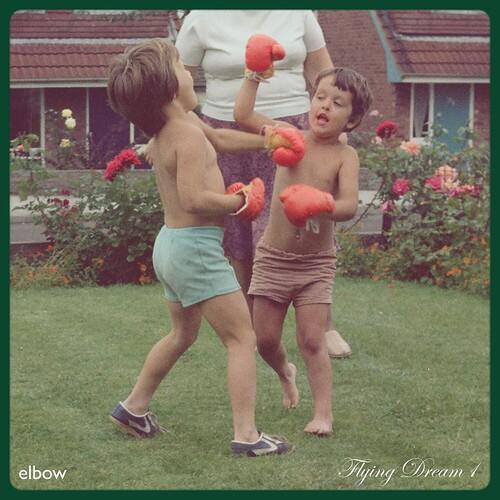 

Виниловая пластинка Elbow - Flying Dream 1
