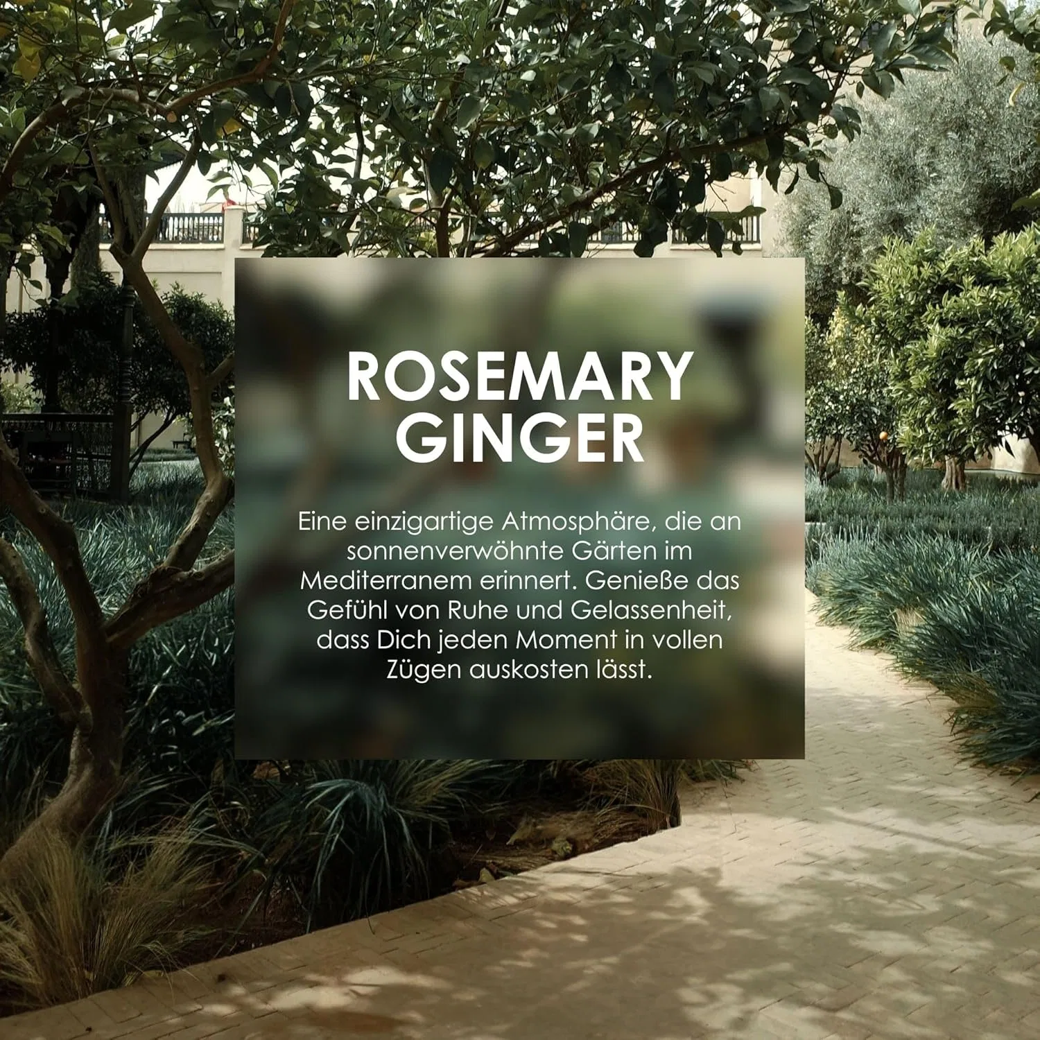 Бальзам для рук и тела Jean & Len Heavenly Rosemary & Ginger, 6 x 500 мл — фото 4