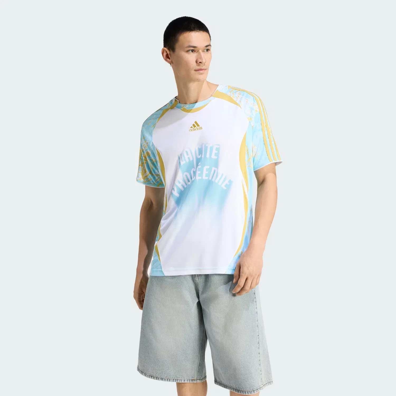 Мужская футболка с графическим принтом Graphic Jersey France Adidas Originals, белый/pyrite/icey blue