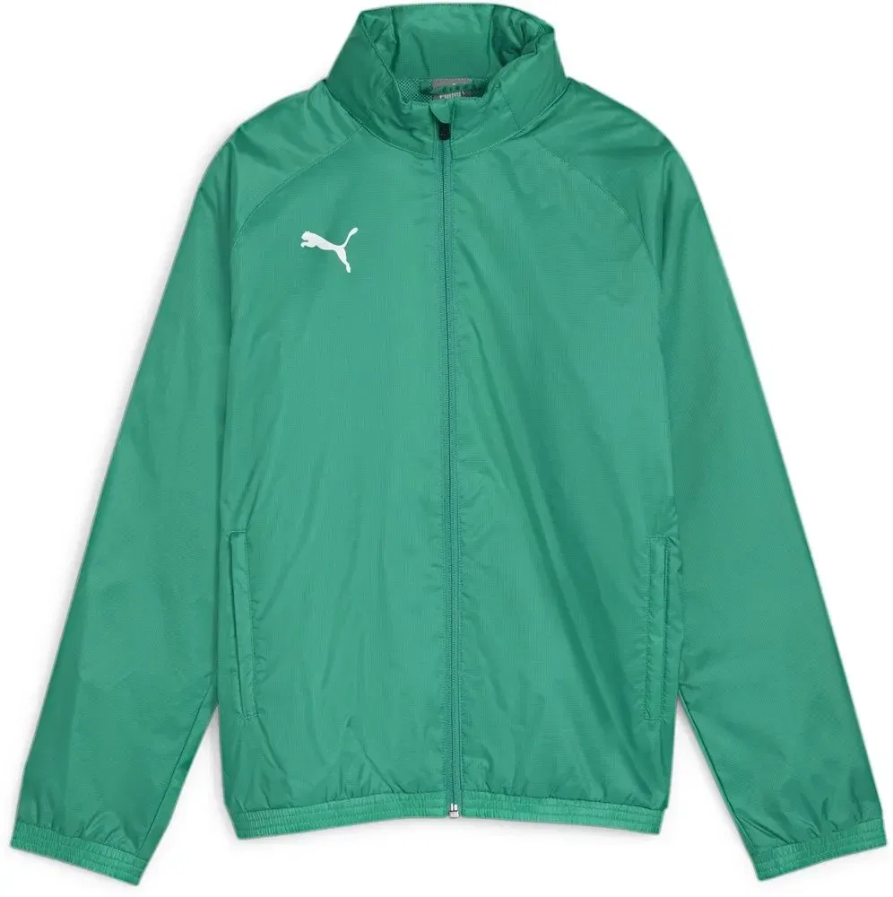 Куртка спортивная с длинным рукавом TeamGoal Allweather Jacket Jr Puma, зеленый