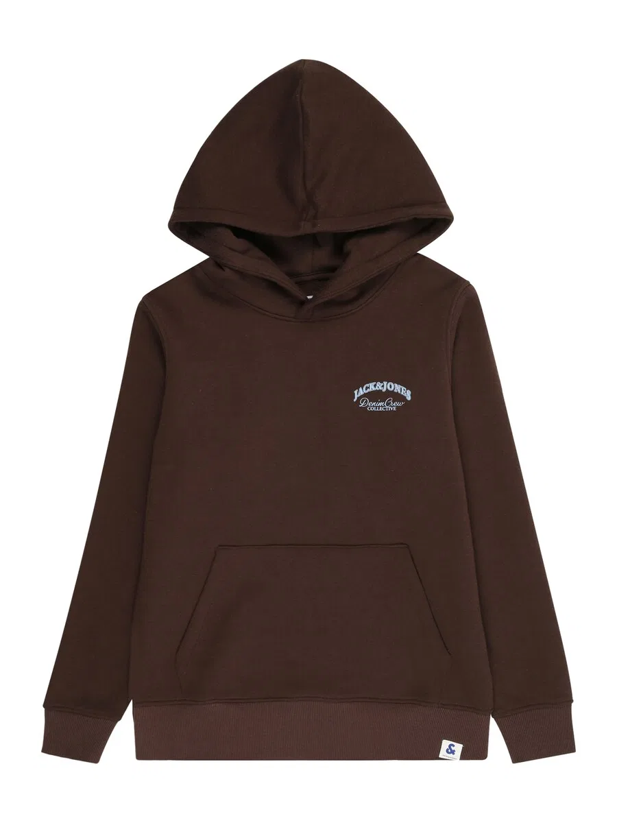 Детская толстовка 'JJEBrandes' шоколадного цвета Jack & Jones Junior