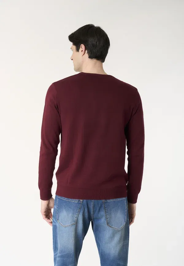 Джемпер из хлопка Jumper U.S. Polo Assn., Bordeaux, бордовый — фото 3