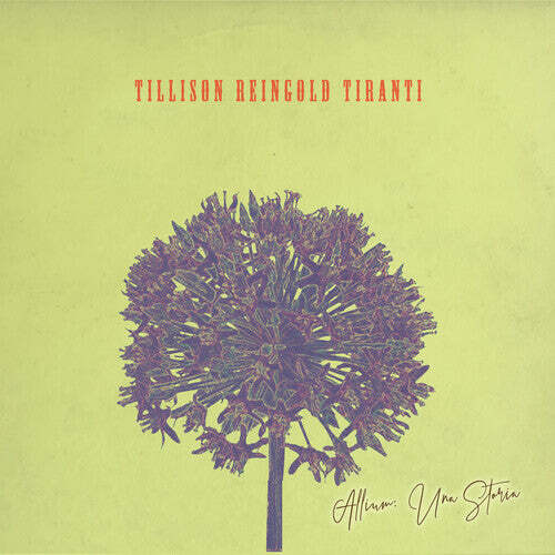 

CD диск Tillison Reingold Tiranti: Allium Una Storia