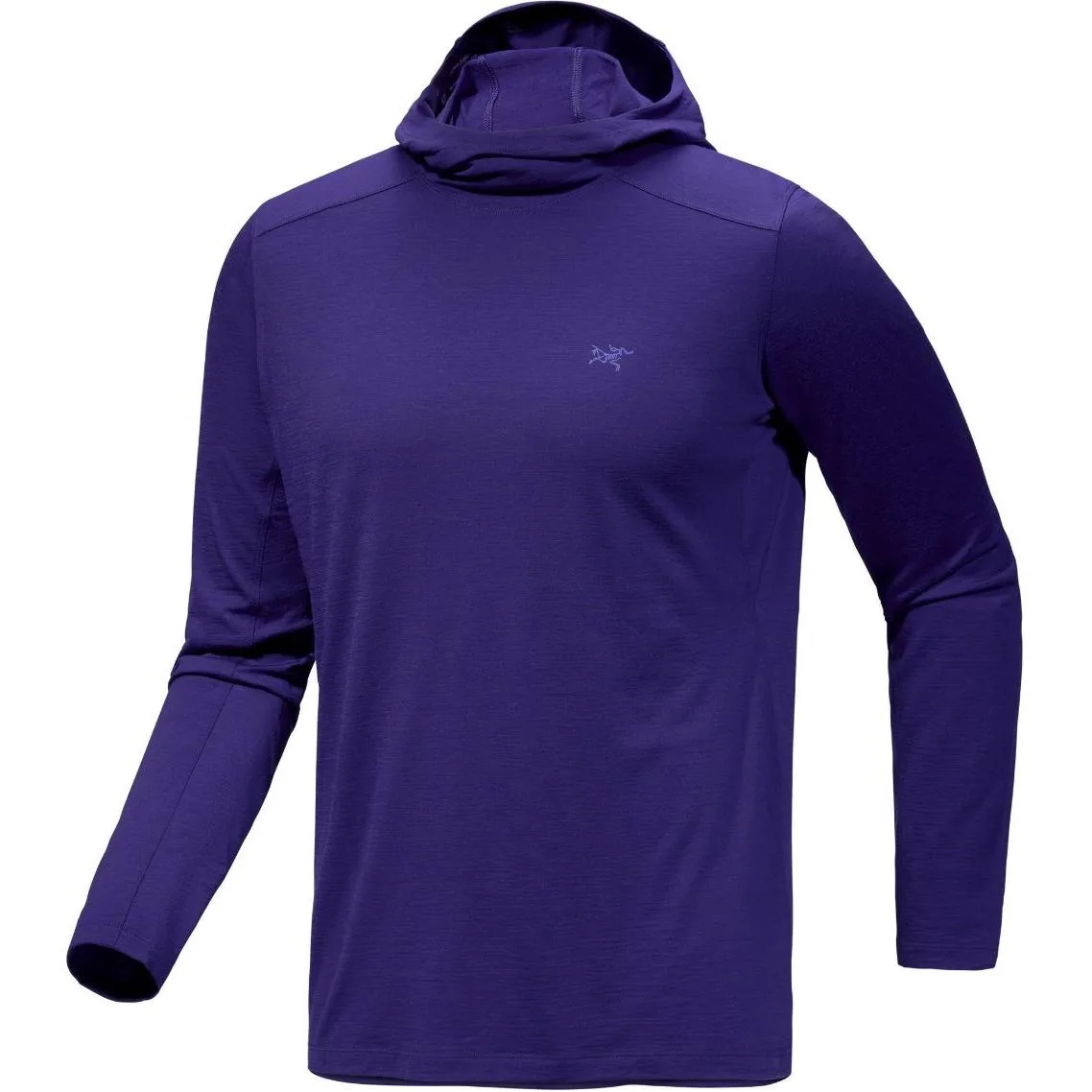 Толстовка из мериносовой шерсти Ionia для мужчин Arcteryx, Sonic Purple/Soulsonic