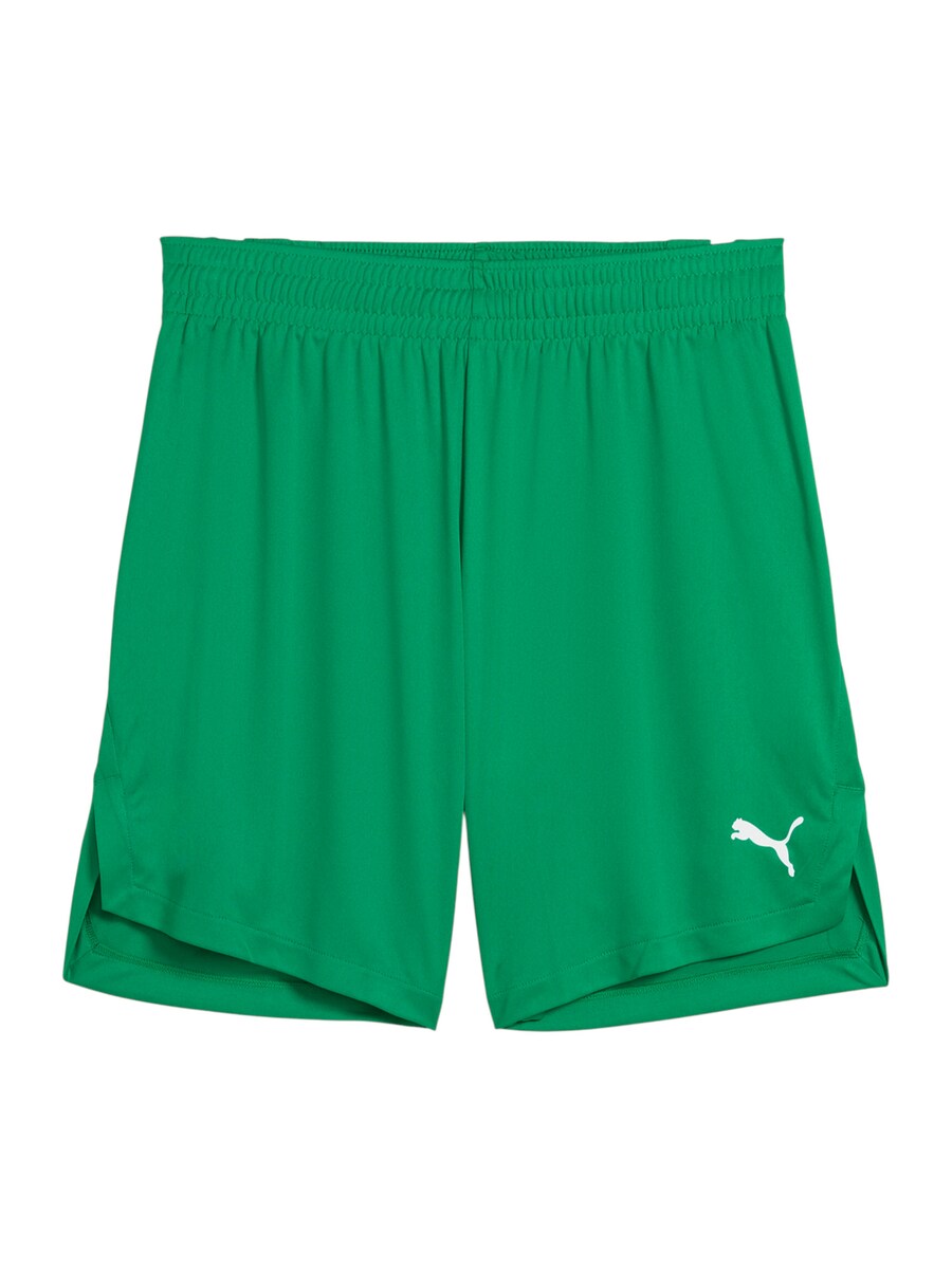 

Обычные спортивные штаны PUMA Teamjaws Starter, зеленый