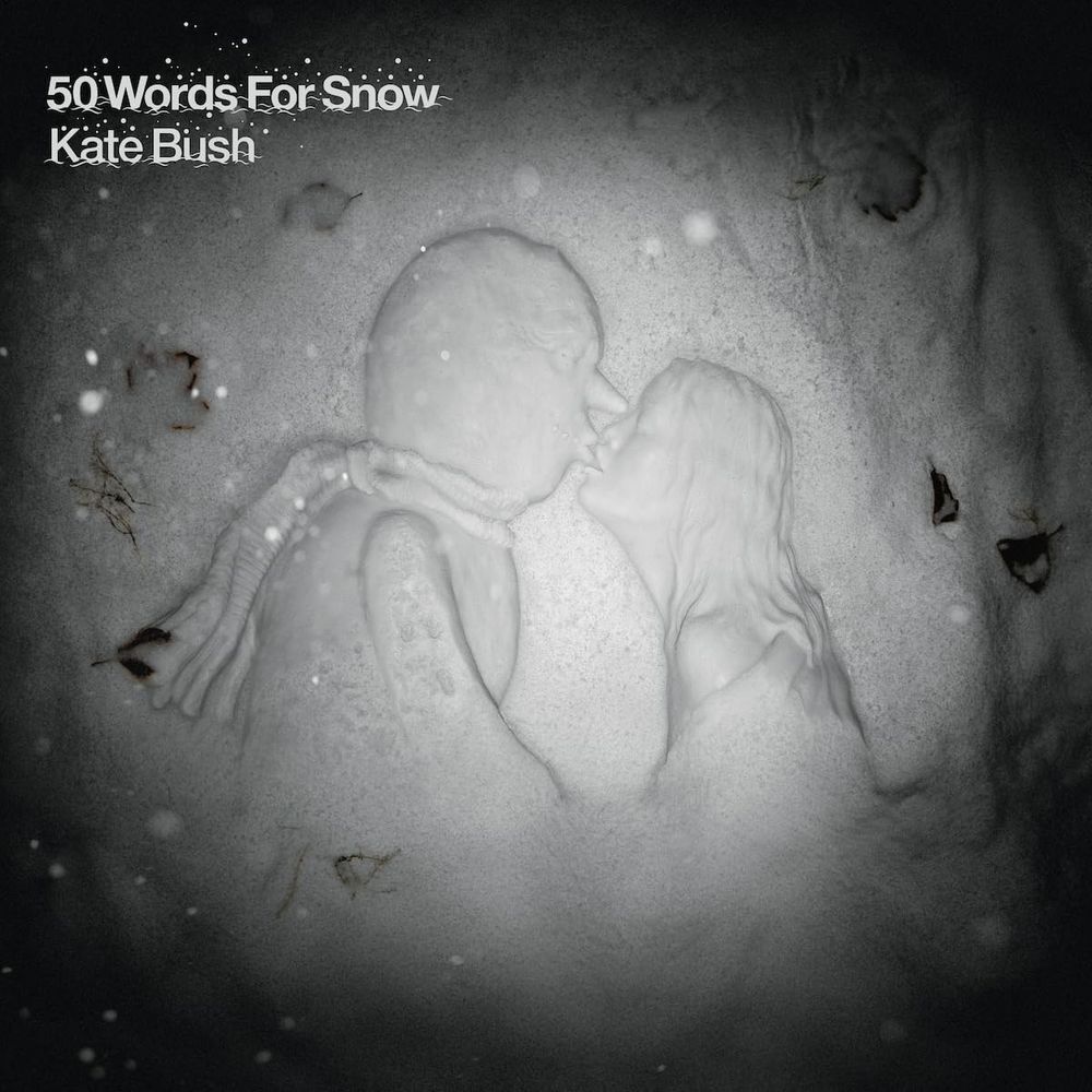 

Виниловая пластинка LP 50 Words For Snow [180 Gram Snowy White Vinyl] - Kate Bush