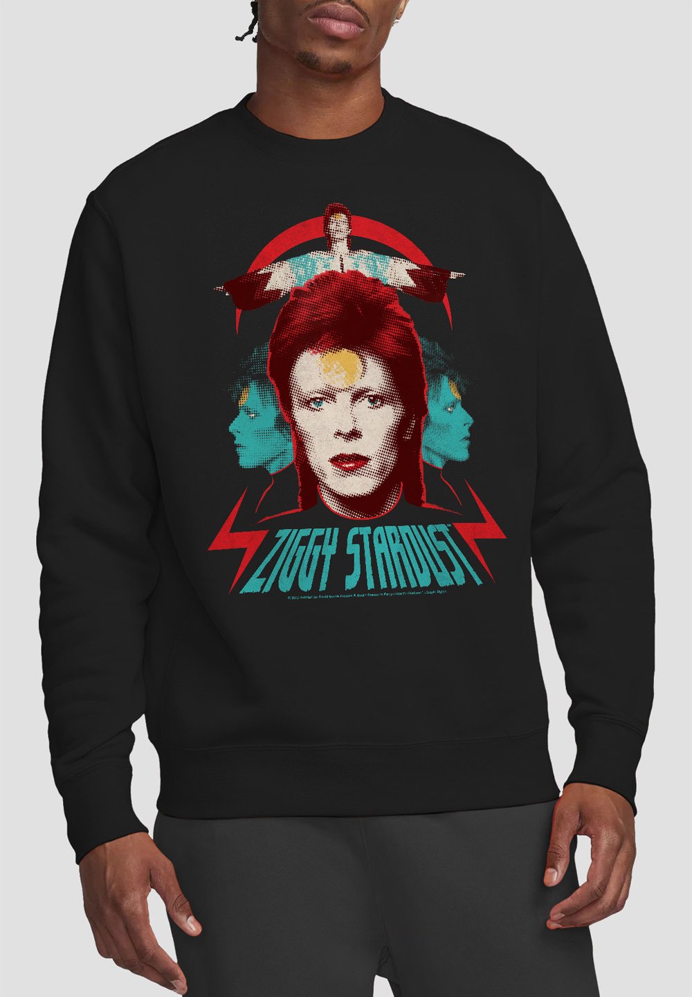 

Толстовка DAVID BOWIE ZIGGY HEADS Cotton Soul, черный