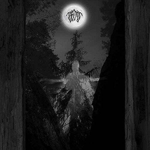 

CD диск Taatsi: Amidst the Trees