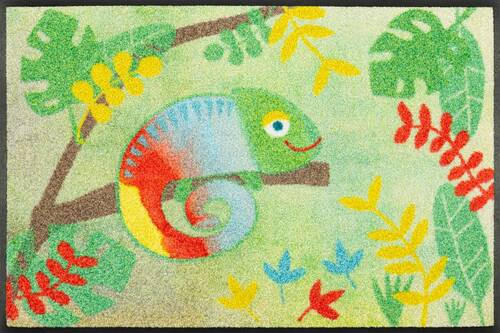 

Коврик wash+dry, 50x75 см, многоцветный