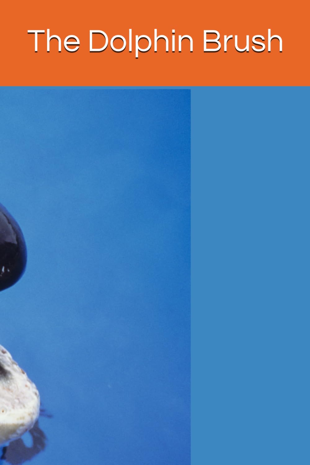 

The Dolphin Brush: Underwater Animal Drawing Book (Kids Drawing Books)