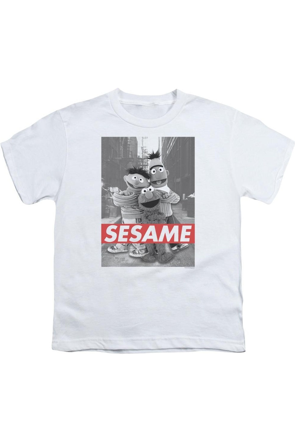 

Футболка с коротким рукавом для детей Sesame Street Gildan, белый