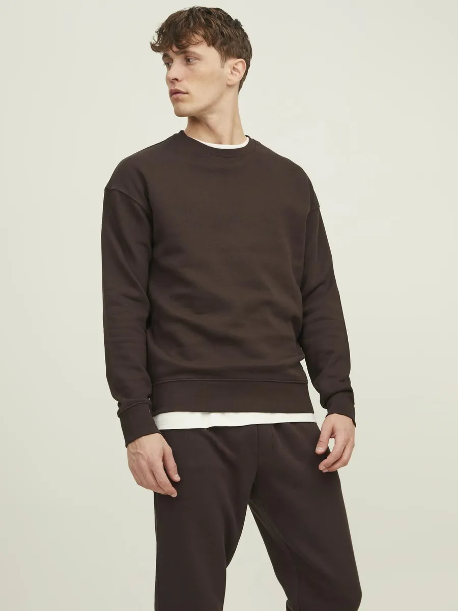 

Толстовка Jack & Jones "JJESTAR BASIC SWEAT CREW NECK NOOS", цвет Mulch / Braun