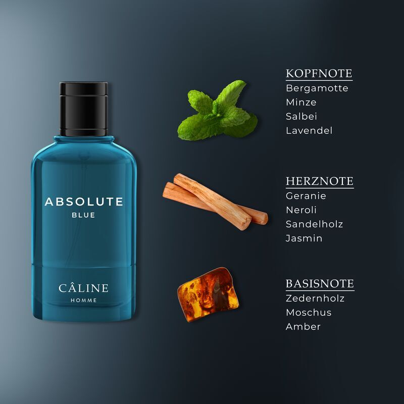 Homme Absolute Blue, EdT 60 ml Câline — фото 3