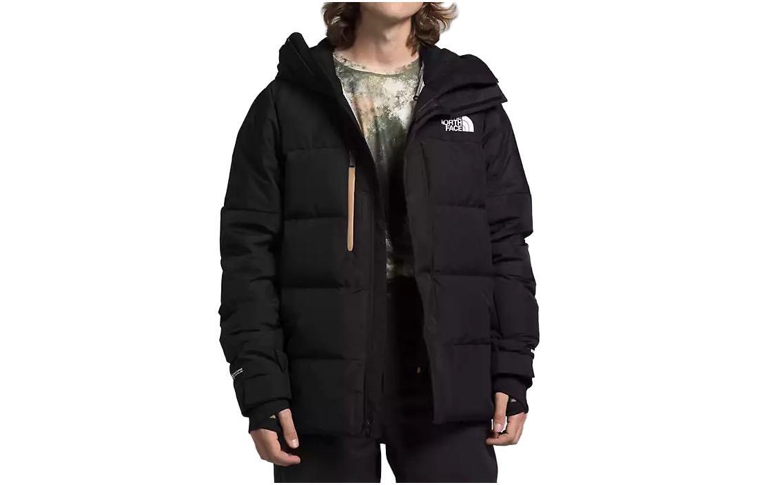 

THE NORTH FACE Мужская куртка, цвет Black