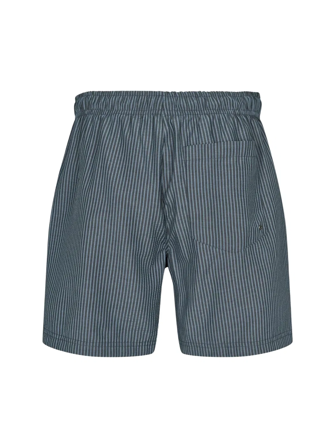 Пляжные шорты 'Briggs Swimshorts' U.S. Polo Assn., Blue — фото 2