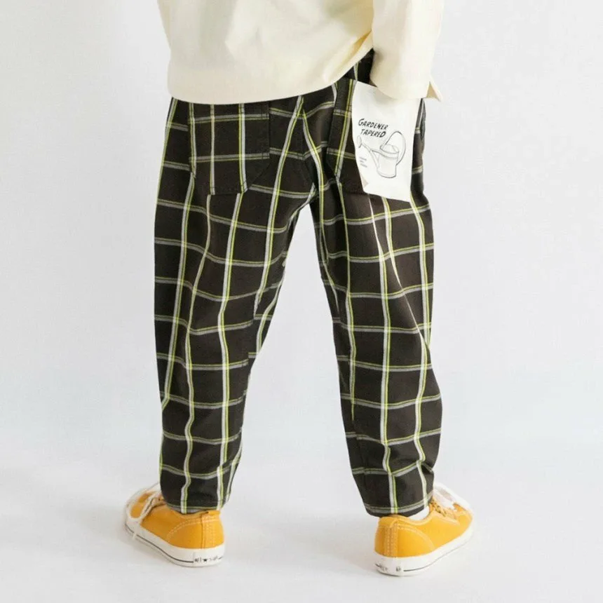 Зауженные брюки садовника в клетку, окрашенные пряжей. Branshes, Charcoal Gray