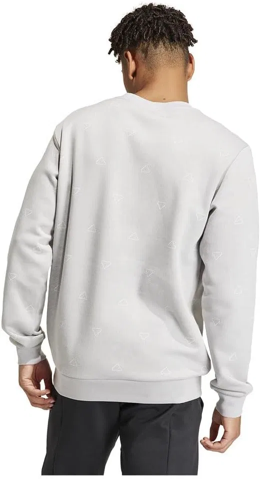 Мужская спортивная толстовка adidas Seasonal Essentials Monogram Graphic Crew Sweatshirt — фото 2