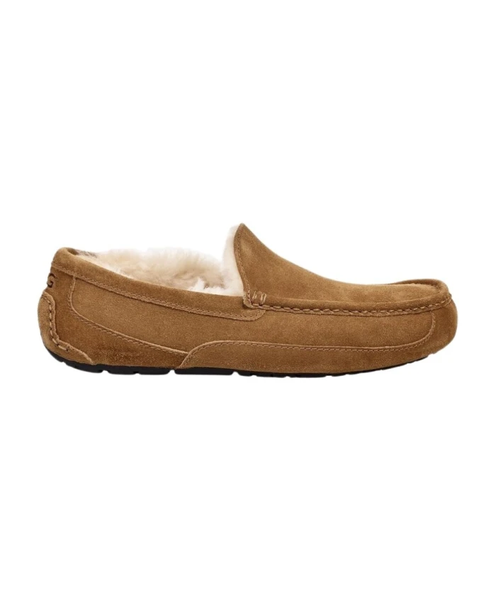 

Тапочки Аскот Ugg, коричневый