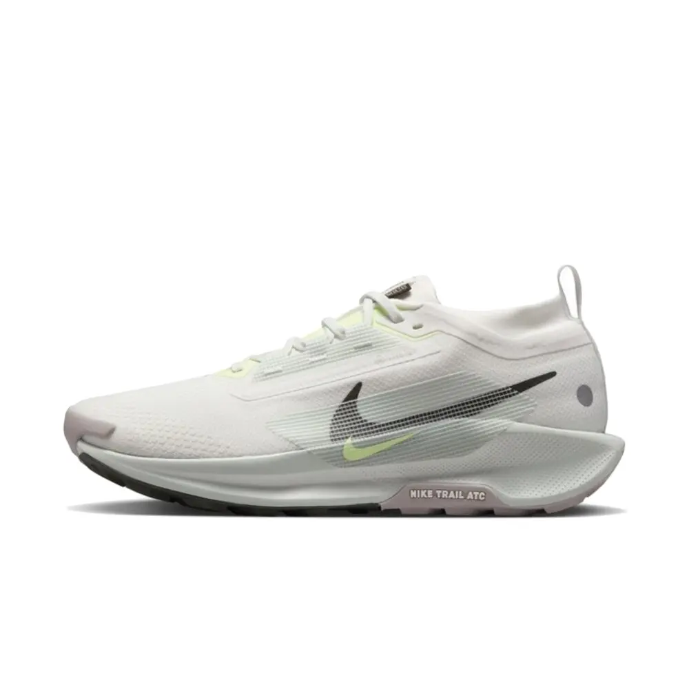 

Nike Кроссовки Pegasus Trail 5 Gore Tex Summit White Light Silver College Grey Sequoia