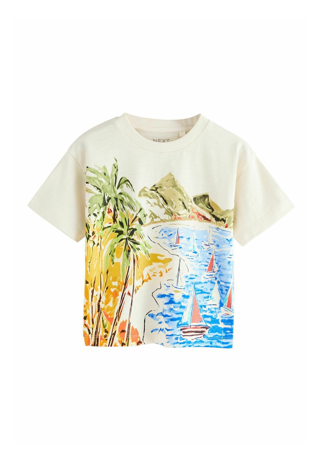 

Футболка с принтом REGULAR FIT SHORT SLEEVE GRAPHIC Next, белый
