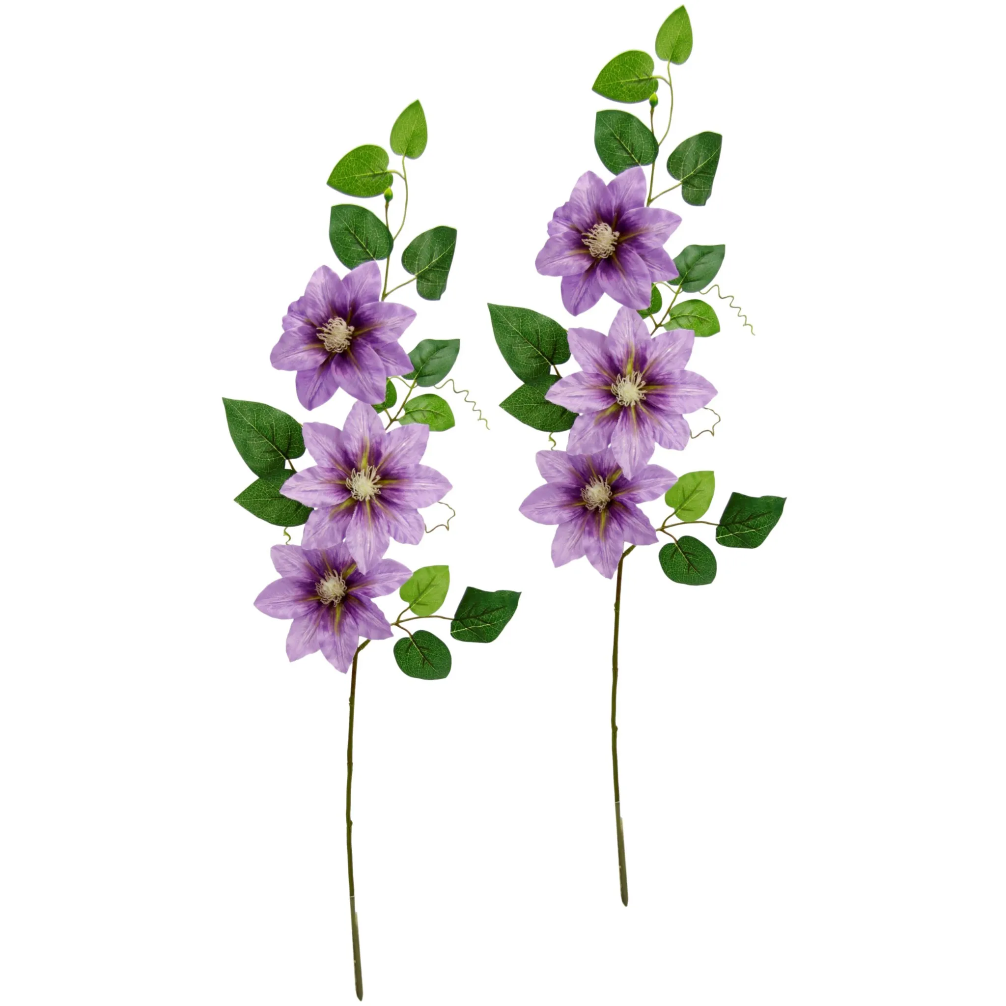 

И.ГЕ.А. Искусственный цветок «Clematis tendril clematis», ветка, одинарный стебель, набор из 2 шт I.Ge.A., фиолетовый