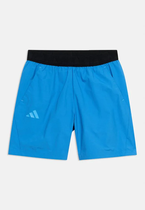 Спортивные шорты Adidas Terrex, Ray Blue