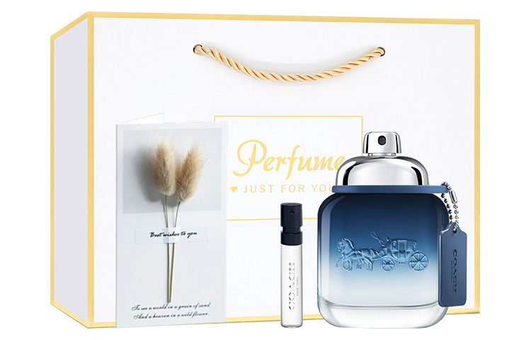 COACH Нью-Йорк blue tone мужские духи древесные ноты туалетная вода edt 40мл/60мл+2мл — фото 3