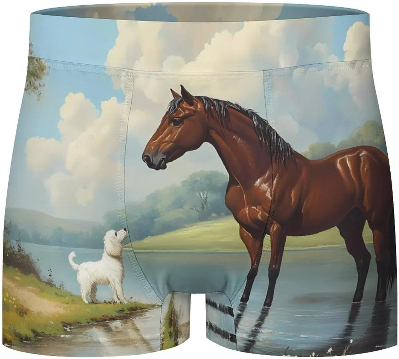 Боксеры с принтом, Horse Dog Friends, Style — фото 4
