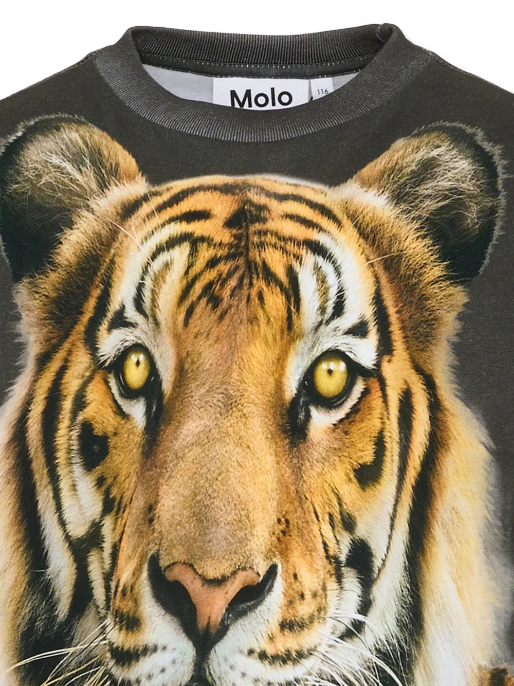 Длинно-sleeve футболка Rube с тигровым принтом Molo, серый — фото 3